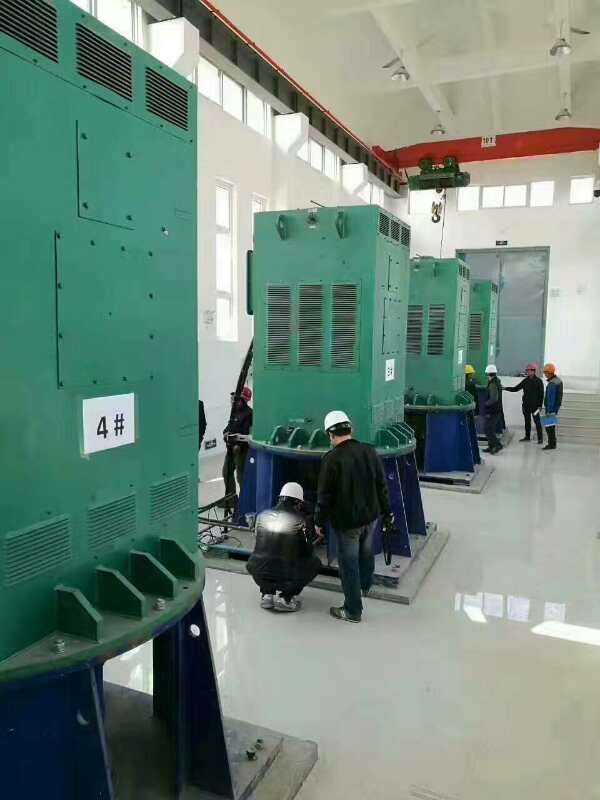 南充某污水处理厂使用我厂的立式高压电机安装现场
